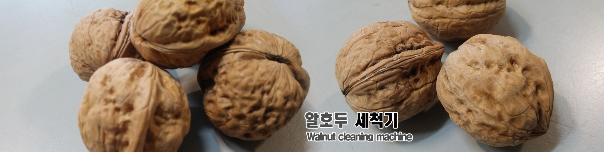 비주얼4